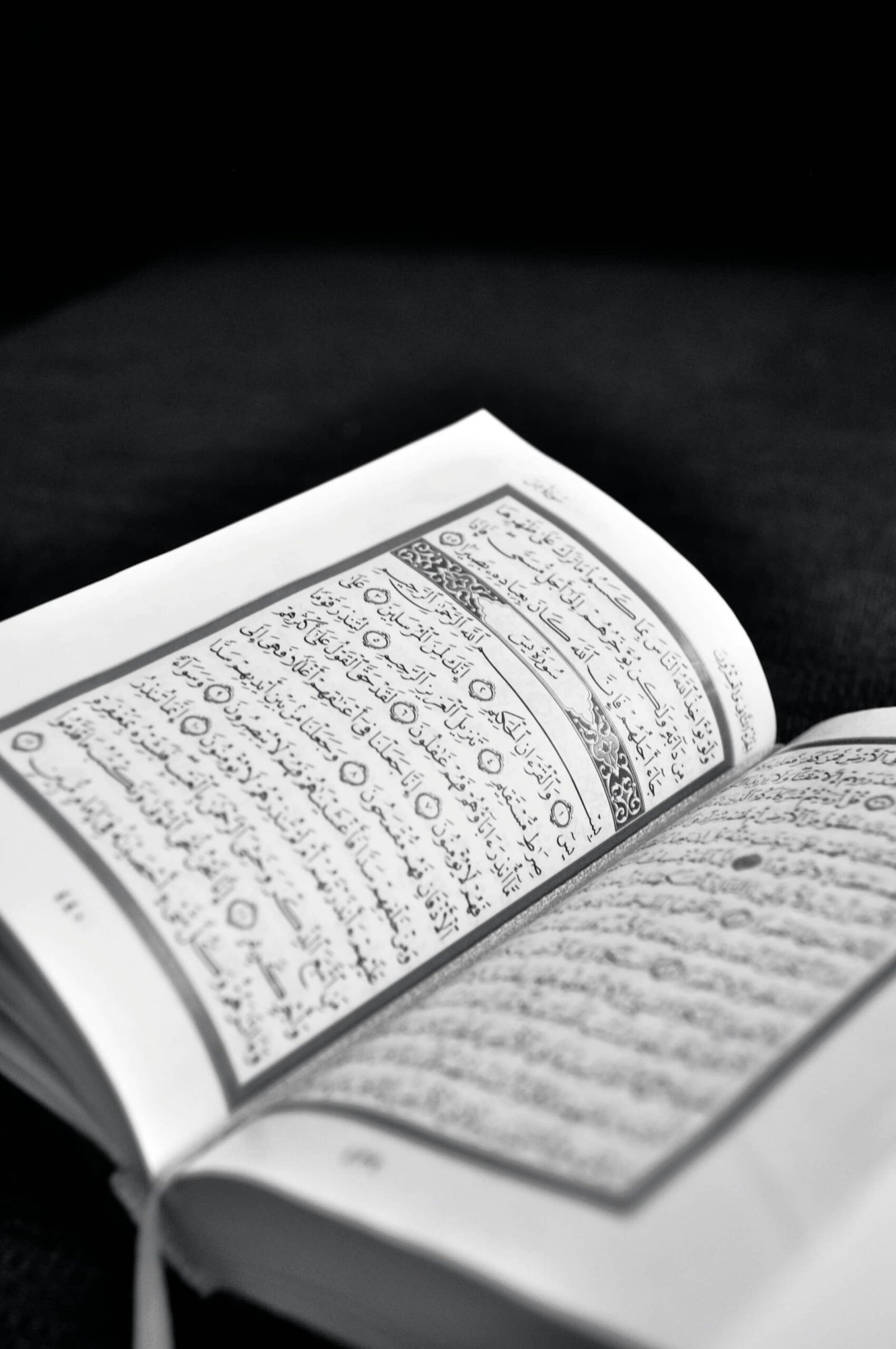 jawad-jawahir-N2n2skjSpq0-unsplash (1)